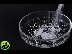 برونوپول - ويفانگ ژائويو